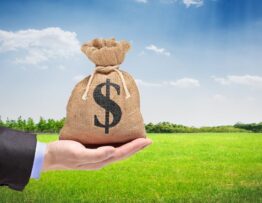 5 Perks of Investing in Plots in India